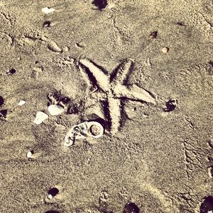 Meet your Posher, Joann